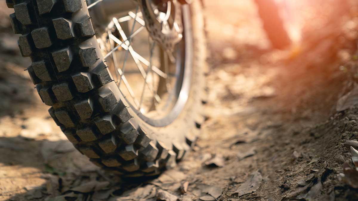 Close-up photos of a dirt bike tire on a Forest Trail